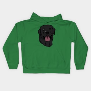 Black Lab Kids Hoodie